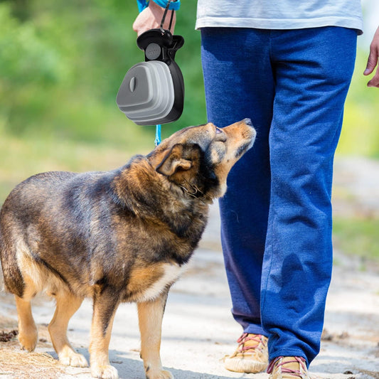 Pet Foldable Pooper Scooper